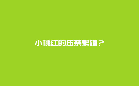 小桃红的压条繁殖？