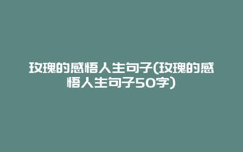 玫瑰的感悟人生句子(玫瑰的感悟人生句子50字)