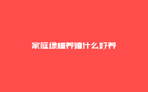 家庭绿植养殖什么好养