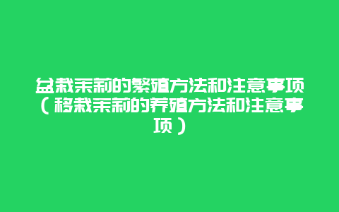 盆栽茉莉的繁殖方法和注意事项（移栽茉莉的养殖方法和注意事项）