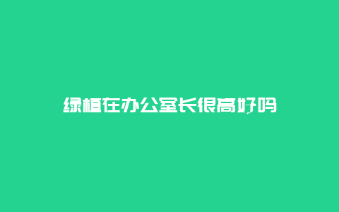 绿植在办公室长很高好吗