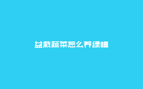 盆栽蔬菜怎么养绿植