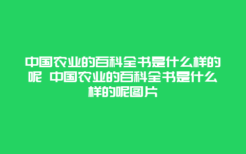 中国农业的百科全书是什么样的呢 中国农业的百科全书是什么样的呢图片