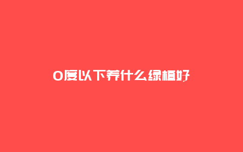 0度以下养什么绿植好