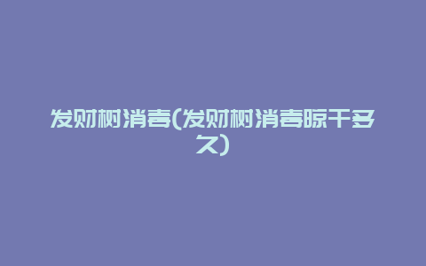 发财树消毒(发财树消毒晾干多久)