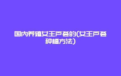 国内养殖女王芦荟的(女王芦荟种植方法)
