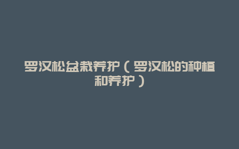 罗汉松盆栽养护（罗汉松的种植和养护）