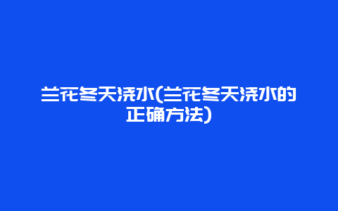 兰花冬天浇水(兰花冬天浇水的正确方法)