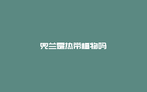 兜兰是热带植物吗
