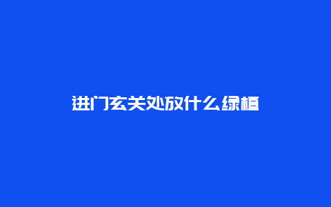 进门玄关处放什么绿植