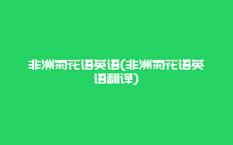 非洲菊花语英语(非洲菊花语英语翻译)