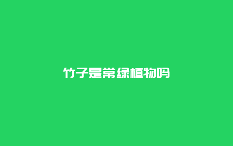 竹子是常绿植物吗缩略图 竹子是常绿植物吗