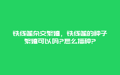 铁线莲杂交繁殖,铁线莲的种子繁殖可以吗?怎么播种?缩略图 铁线莲杂交繁殖,铁线莲的种子繁殖可以吗?怎么播种?