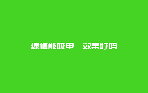 绿植能吸甲醛效果好吗缩略图 绿植能吸甲醛效果好吗